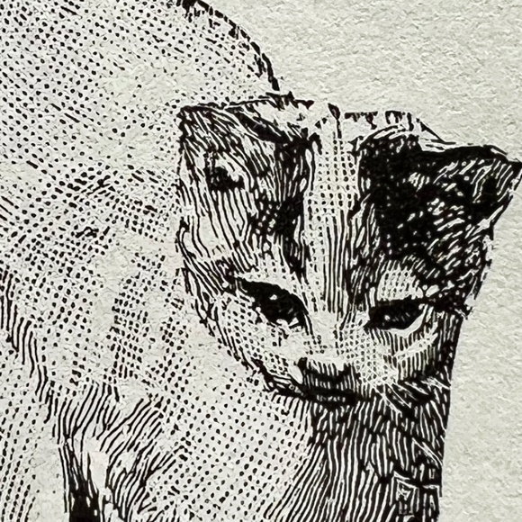 Meet your Posher, Grace - Picture 1 of 1